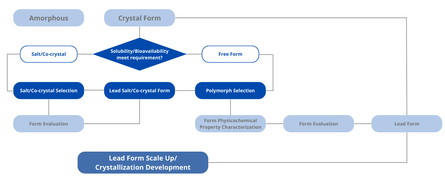Solid Form Screening and Selection Solid Form Screening and Selection