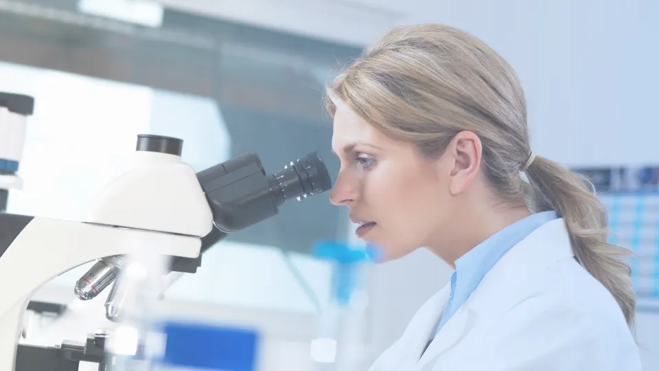 Stability and Solubility Studies